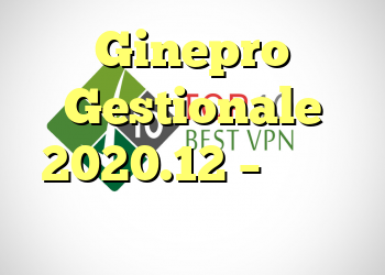 Ginepro Gestionale 2020.12 – مدیریت جدید