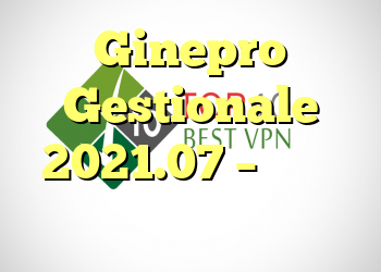 Ginepro Gestionale 2021.07 – مدیریت جدید