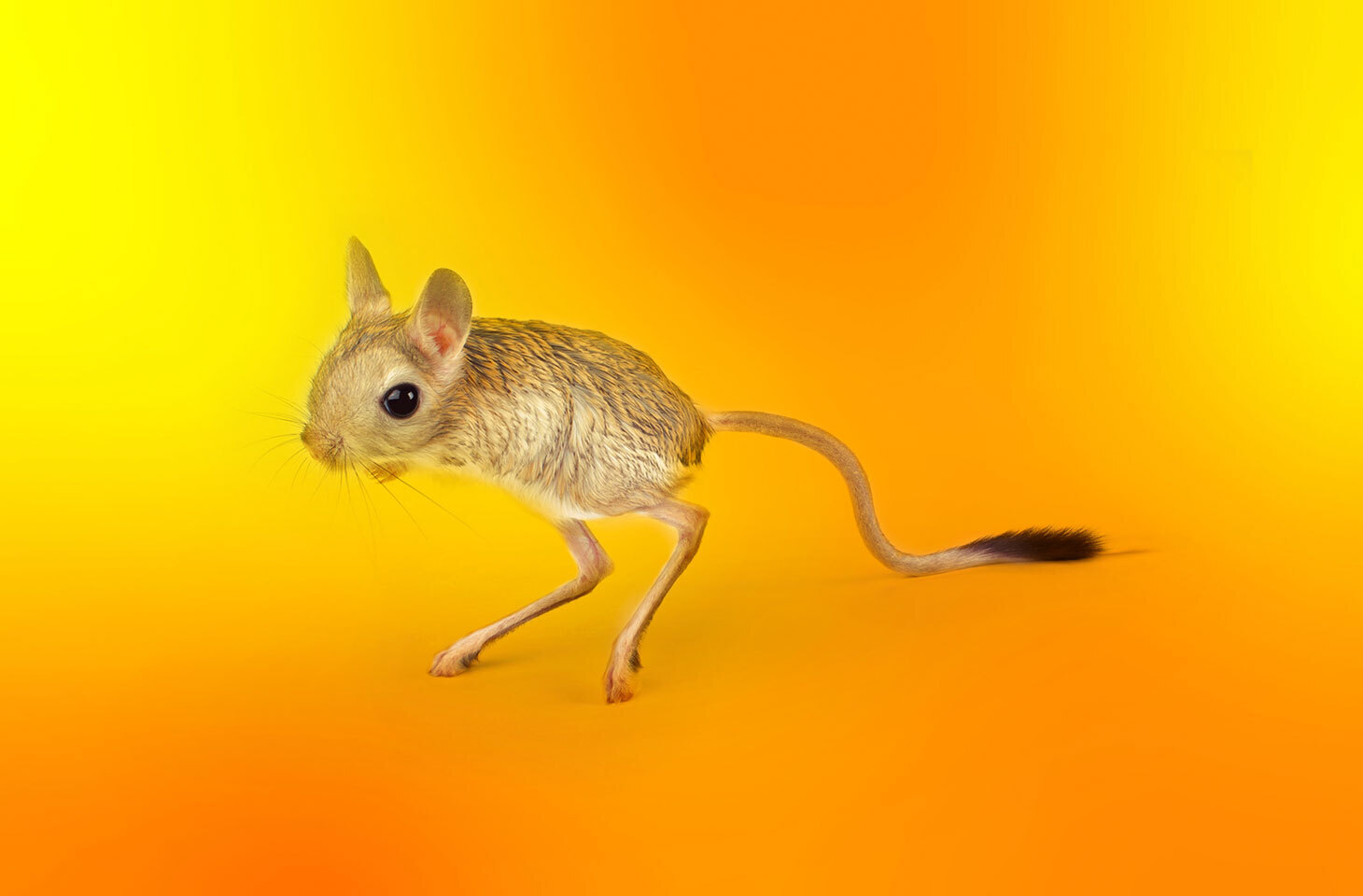 Kaspersky official blog